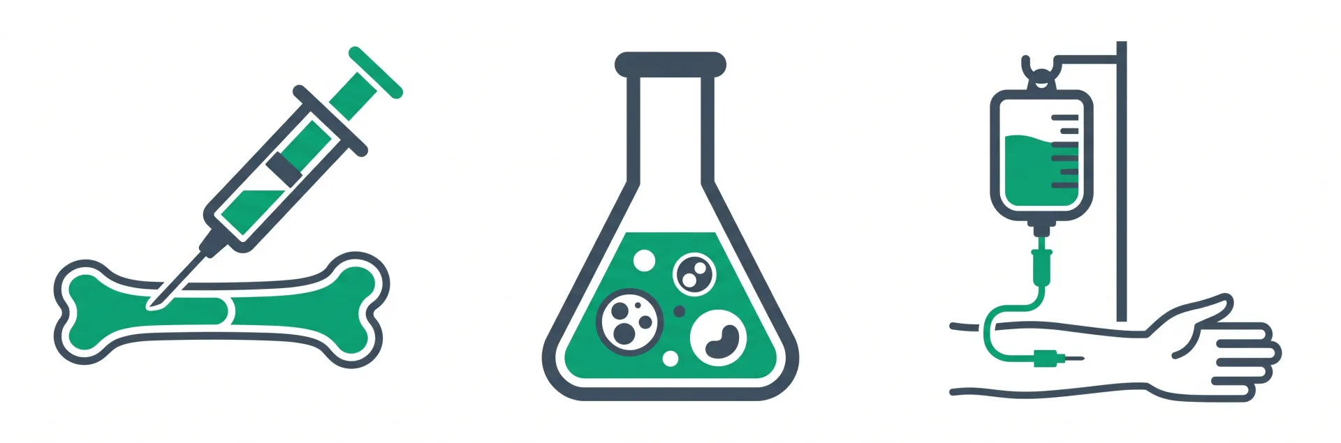 Stem cell therapy process — collection, lab processing, administration